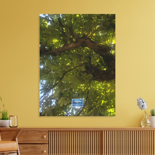 Canvas (Sun Green Tree 3) RFPMDesigns ©️2021/24 (Insitu (Woonkamer))