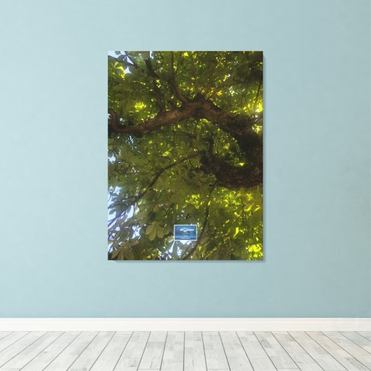 Canvas (Sun Green Tree 3) RFPMDesigns ©️2021/24 (Insitu (Houten vloer))