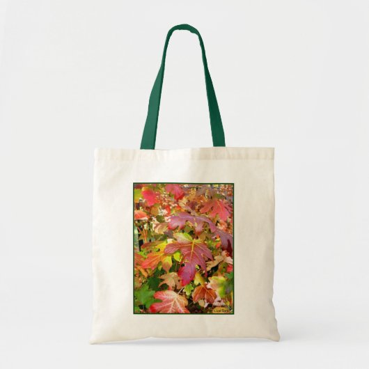 canvas tas "Autumn Leaves" Budget Canvas (Voorkant)