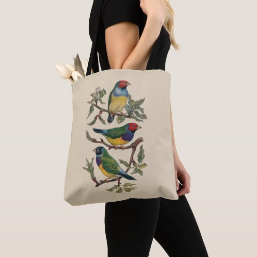 canvas tas kleurrijke vogels Gift Bag Large (Dichtbij)