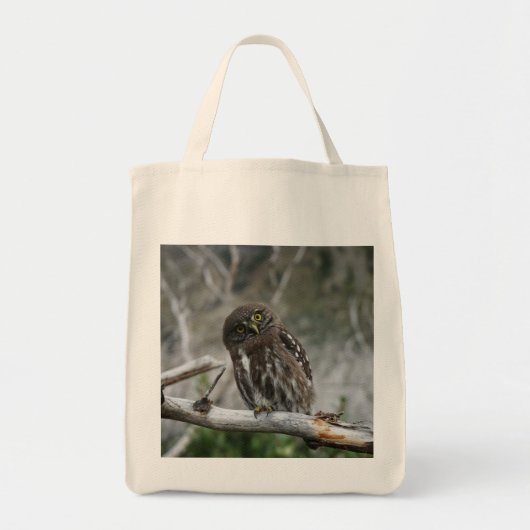 Canvas tas van de noordelijke Pygmy Owl (Voorkant)