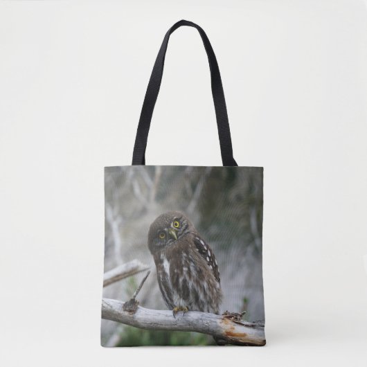 Canvas tas van de noordelijke Pygmy Owl (Voorkant)