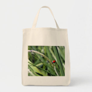 Canvas tas van het lampolie (Coccinellidae)