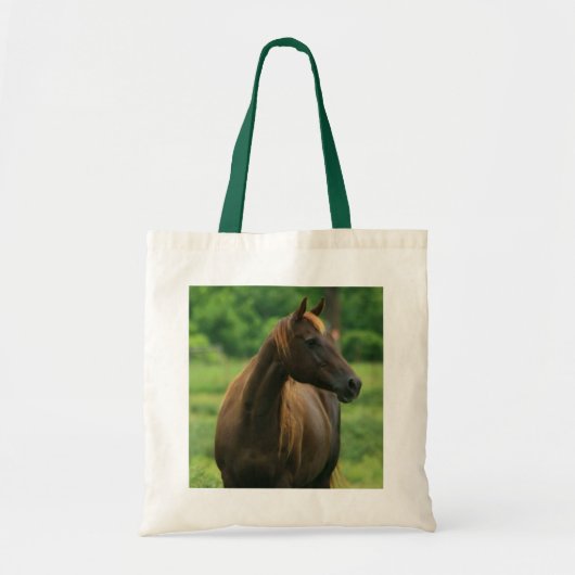 Canvas tas van kastanjepaarden (Voorkant)