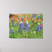 Canvas Texas Wildbloemen Blauwbonetten Paintbrushe (Voorkant)