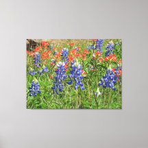 Canvas Texas Wildbloemen Blauwbonetten Paintbrushe