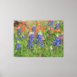 Canvas Texas Wildbloemen Blauwbonetten Paintbrushe Afdruk