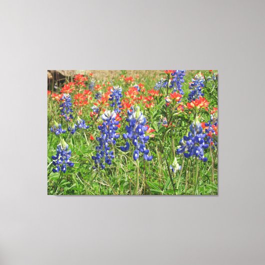 Canvas Texas Wildbloemen Blauwbonetten Paintbrushe Afdruk (Voorkant)