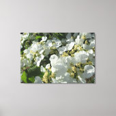 Canvas - verpakt - DoubleFile Viburnum I (Voorkant)