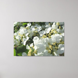 Canvas - verpakt - DoubleFile Viburnum I Afdruk