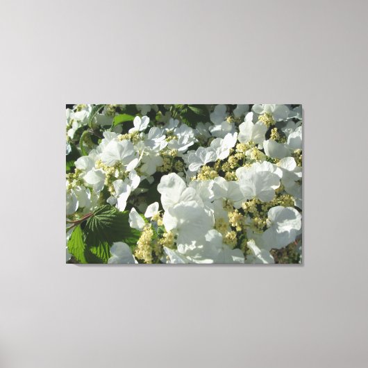 Canvas - verpakt - DoubleFile Viburnum I Afdruk (Voorkant)