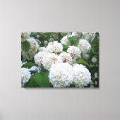 Canvas - Verpakt - White Hydrangeas all (Voorkant)