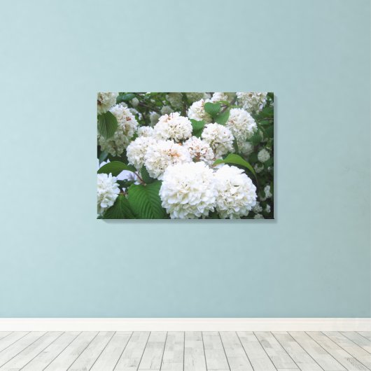 Canvas - Verpakt - White Hydrangeas all (Insitu (Houten vloer))