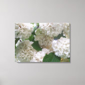 Canvas - Verpakt - Witte Hydrangeas l Afdruk (Voorkant)