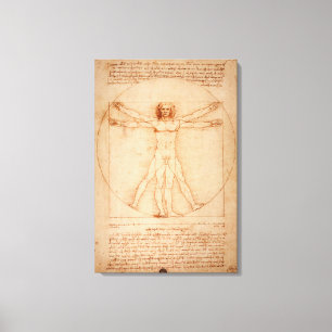 Canvas Vitruvian Man door Leonardo da Vinci Afdruk