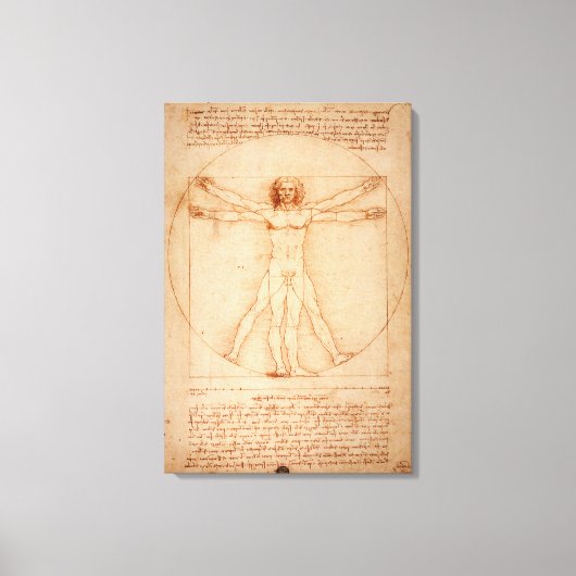 Canvas Vitruvian Man door Leonardo da Vinci Afdruk (Voorkant)