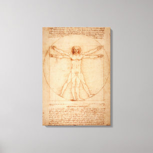 Canvas Vitruvian Man van Leonardo da Vinci Afdruk