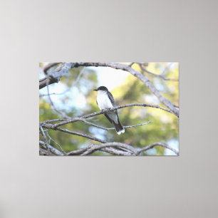 Canvas Vogelkunst Print