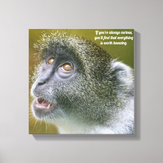 Canvas voor denkers (Voorkant)