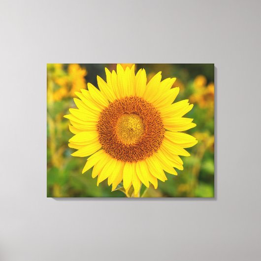 Canvas Wall Art-Sunflower (Voorkant)