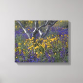 Canvas Waterverf Californië Ojai Lupine & Poppies (Voorkant)