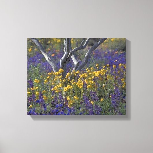 Canvas Waterverf Californië Ojai Lupine & Poppies (Voorkant)