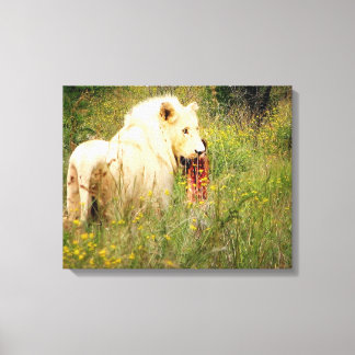 Canvas White Lion uit Afrika