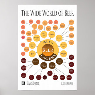 Canvas Wide World of Beer Infographic Print