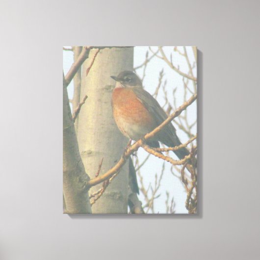 Canvas - Winter Robin (Voorkant)