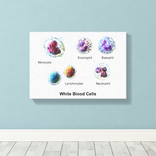 Canvas Witte bloedcellen leukocyten diagram (Insitu (Houten vloer))