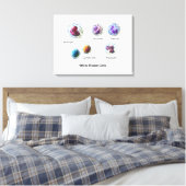 Canvas Witte Bloedcellen Leukocyten Diagram Afdruk (Insitu (Slaapkamer))