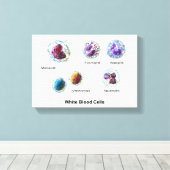 Canvas Witte bloedcellen leukocyten diagram Afdruk (Insitu (Houten vloer))
