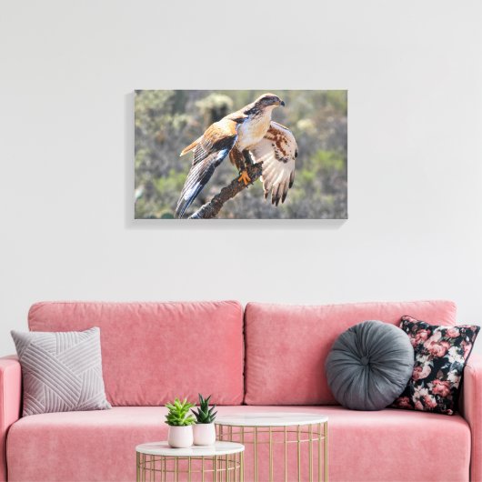 Canvas Wrap: ijzerhoudende havik (Insitu (Woonkamer))