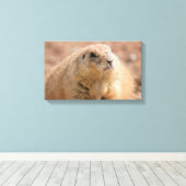 Canvas Wrap: Zwart-staart Prairie Hond (Insitu (Houten vloer))