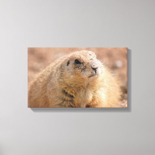 Canvas Wrap: Zwart-staart Prairie Hond (Voorkant)