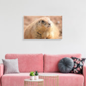 Canvas Wrap: Zwart-staart Prairie Hond (Insitu (Woonkamer))