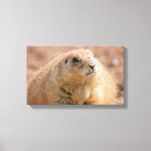 Canvas Wrap: Zwart-staart Prairie Hond Afdruk (Voorkant)