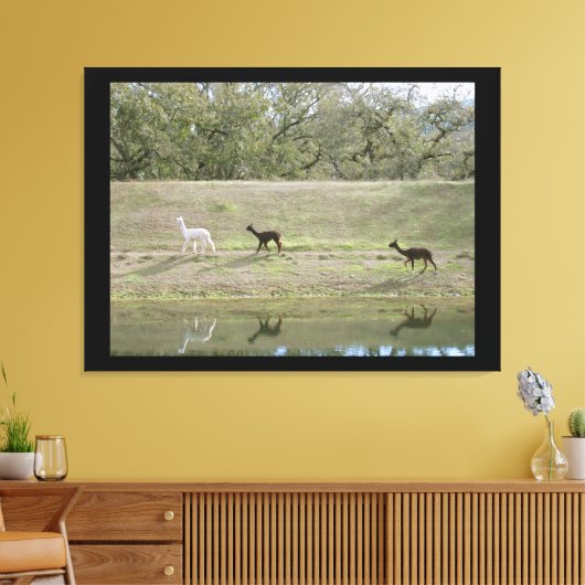 Canvasafdruk - Alpacas op de Hill Canvas Afdruk (Insitu (Woonkamer))
