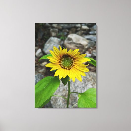 canvasafdruk canvas afdruk (Voorkant)