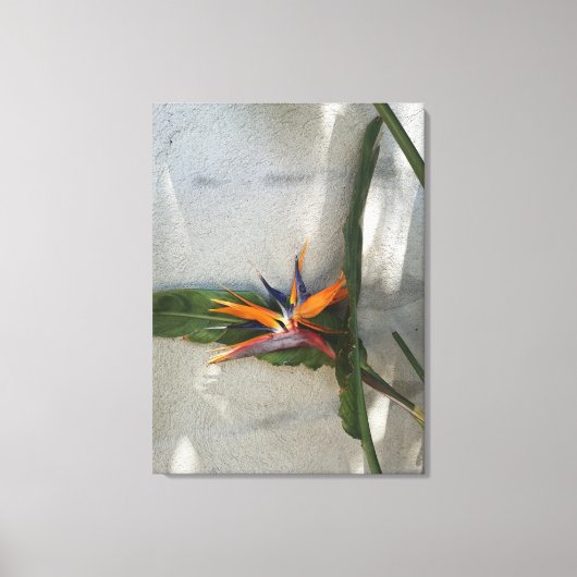 canvasafdruk canvas afdruk (Voorkant)