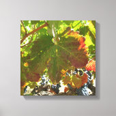 Canvasafdruk - wijnstokken met druiven canvas afdruk (Voorkant)