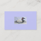 Canvasback Decoy #1 Visitekaartjes (Achterkant)
