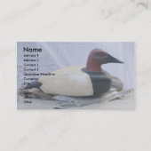 Canvasback Decoy #1 Visitekaartjes (Voorkant)