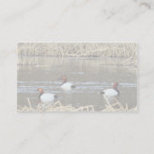 Canvasback-draden Visitekaartje (Achterkant)