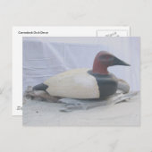 Canvasback Duck Decoy-Briefkaart Briefkaart (Voorkant / Achterkant)