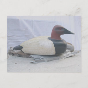 Canvasback Duck Decoy-Briefkaart Briefkaart