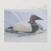 Canvasback Duck Decoy-Briefkaart Briefkaart (Voorkant)