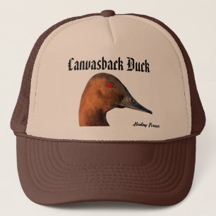 Canvasback Duck Pet