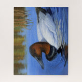 Canvasback eend zwemmen, riet, acryl schilderen legpuzzel (Verticaal)