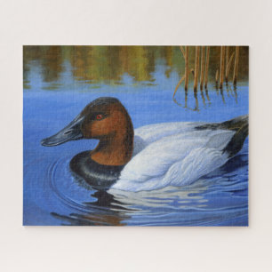 Canvasback eend zwemmen, riet, acryl schilderen legpuzzel